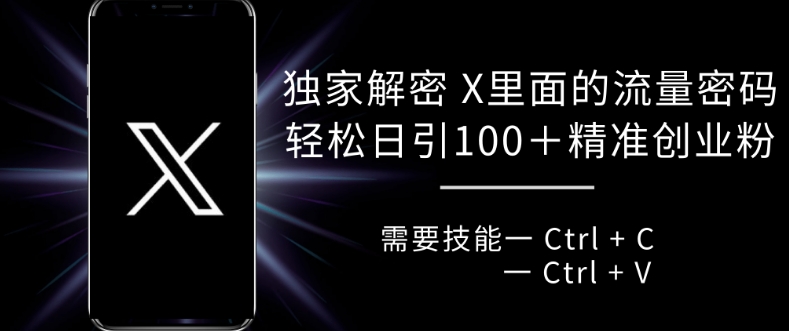 独家解密 X 里面的流量密码，复制粘贴轻松日引100+-资源V站