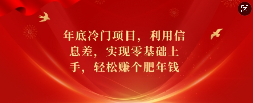 年底冷门项目，利用信息差，实现零基础上手，轻松赚个肥年钱【揭秘】-资源V站