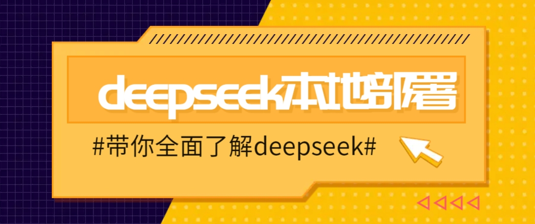 DeepSeek本地部署详细教程，轻松将deepseek部署到你的电脑上-资源V站
