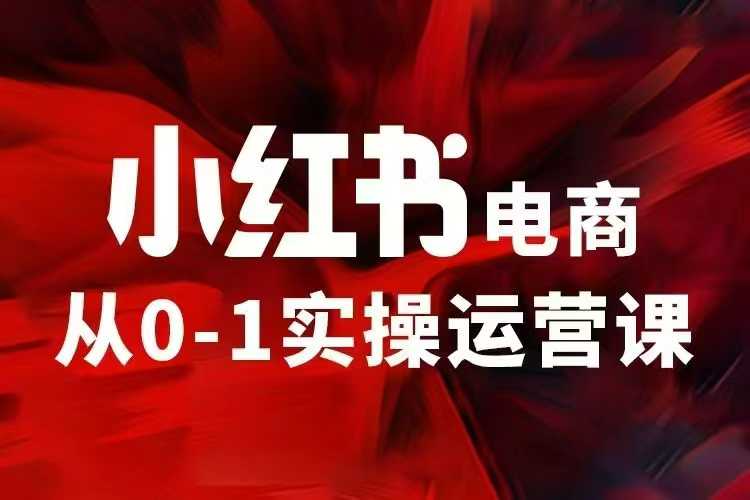 小红书电商运营，97节小红书vip内部课，带你实现小红书赚钱-资源V站