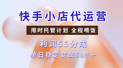 快手小店代运营，限时托管计划，收益55分，单日稳定变现多张【揭秘】-资源V站