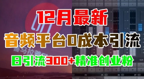 12月最新：音频平台0成本引流，日引流300+精准创业粉-资源V站