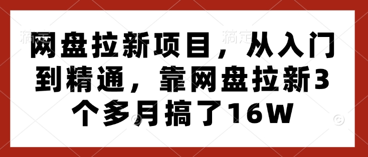 网盘拉新项目，从入门到精通，靠网盘拉新3个多月搞了16W-资源V站