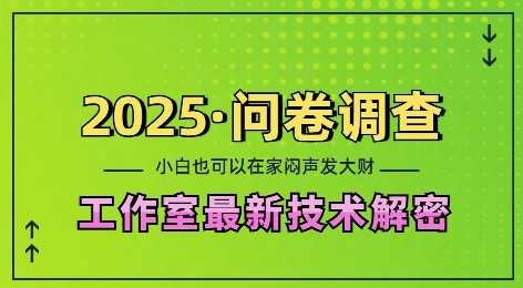 2025问卷调查最新工作室技术解密：一个人在家也可以闷声发大财，小白一天2张，可矩阵放大【揭秘】-资源V站