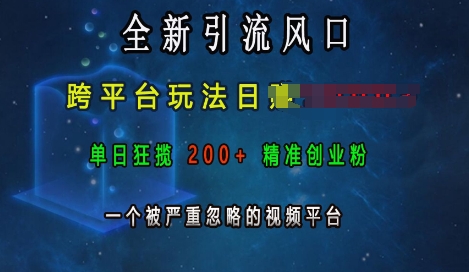 全新引流风口，跨平台玩法日入上k，单日狂揽200+精准创业粉，一个被严重忽略的视频平台-资源V站