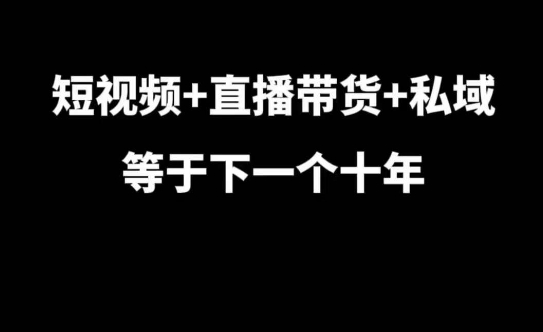 短视频+直播带货+私域等于下一个十年，大佬7年实战经验总结-资源V站
