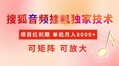 全网首发搜狐音频挂JI独家技术，项目红利期，可矩阵可放大，稳定月入8k【揭秘】-资源V站