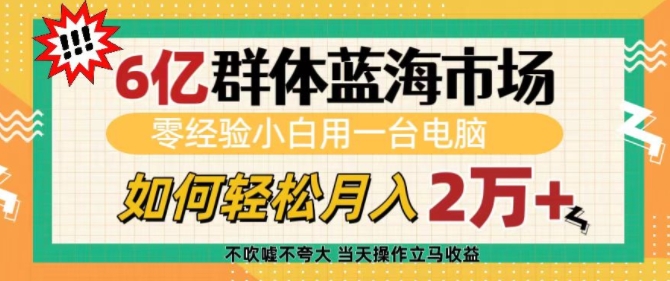 6亿群体蓝海市场，零经验小白用一台电脑，如何轻松月入过w【揭秘】-资源V站