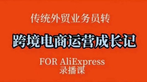 跨境电商速卖通运营课，​运营方法论+后台实操，逻辑清晰-资源V站