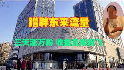 蹭胖东来流量，三天涨万粉，收益直接起飞-资源V站