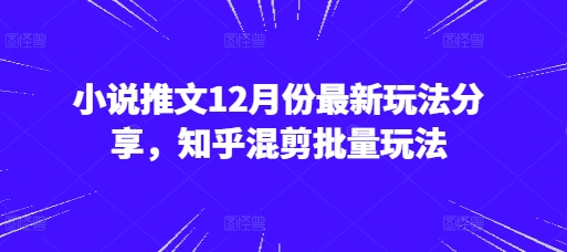 小说推文12月份最新玩法分享，知乎混剪批量玩法-资源V站
