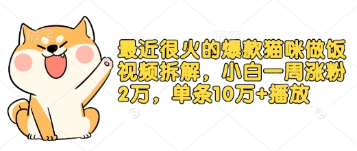 最近很火的爆款猫咪做饭视频拆解，小白一周涨粉2万，单条10万+播放(附保姆级教程)-资源V站