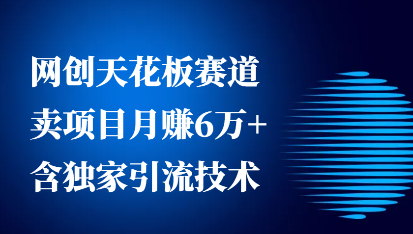 网创天花板赛道，卖项目月赚6万+，含独家引流技术(共26节课)-资源V站