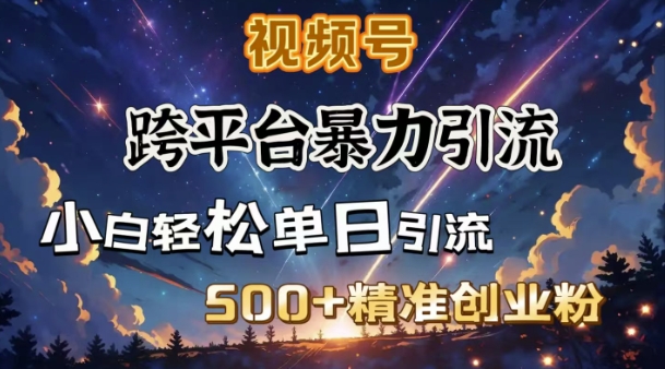 跨平台暴力引流，私域完美闭环，日引500+精准创业粉-资源V站