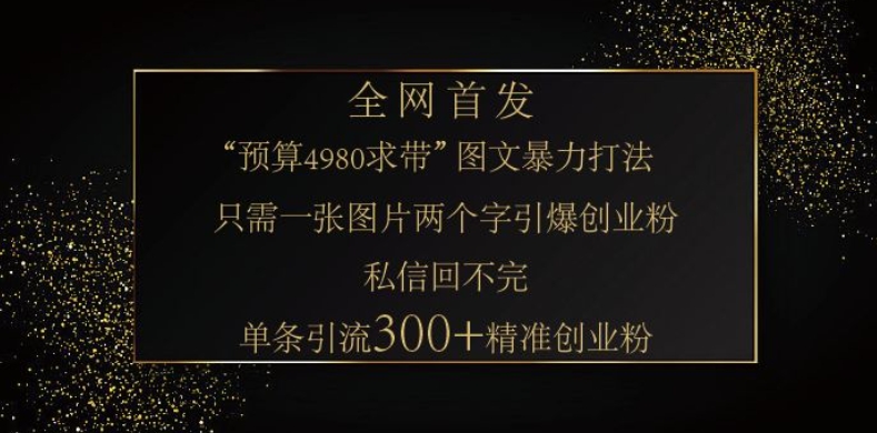 小红书神奇图片引流法，只需一张图，就能单条笔记凭借此方法，轻松引流 300 + 精准创业粉-资源V站