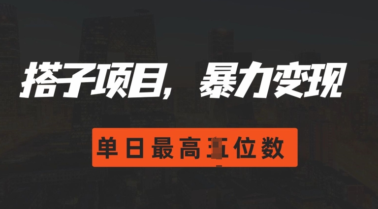 2024搭子玩法，0门槛，暴力变现，单日最高破四位数【揭秘】-资源V站