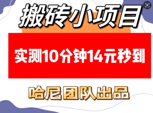 搬砖小项目，实测10分钟14元秒到，每天稳定几张(赠送必看稳定)-资源V站