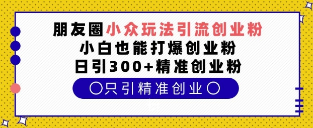 朋友圈小众玩法引流创业粉，小白也能打爆创业粉，日引300+精准创业粉【揭秘】-资源V站