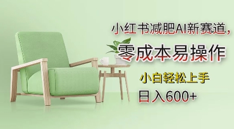 小红书减肥AI新赛道，零成本易操作，日入多张，小白轻松上手【揭秘】-资源V站