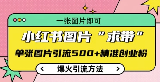小红书图片‘求带’爆火引流法，单张图片引流500+精准创业粉【揭秘】-资源V站