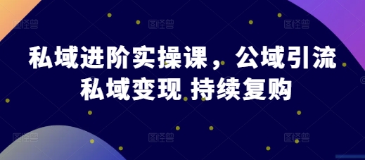 私域进阶实操课，公域引流 私域变现 持续复购-资源V站
