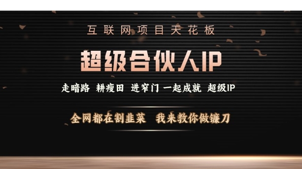 互联网项目天花板，超级合伙人IP，全网都在割韭菜，我来教你做镰刀【仅揭秘】-资源V站