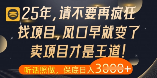 什么？25年你还在疯狂找项目做，醒醒吧，看完这些你全都懂了【揭秘】-资源V站