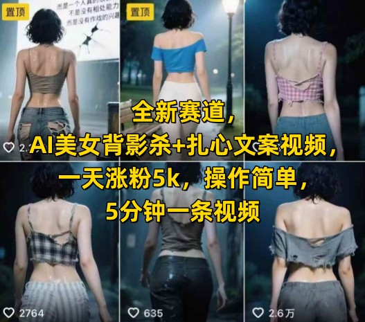全新赛道，AI美女背影杀+扎心文案视频，一天涨粉5k，操作简单，5分钟一条视频-资源V站