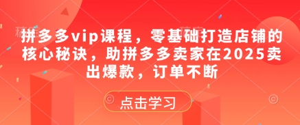 拼多多vip课程，零基础打造店铺的核心秘诀，助拼多多卖家在2025卖出爆款，订单不断-资源V站