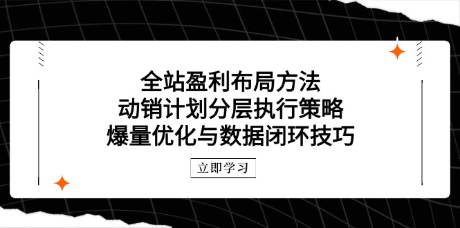 全站盈利布局方法：动销计划分层执行策略，爆量优化与数据闭环技巧-资源V站