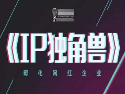 IP独角兽，孵化网红企业，ip教程-资源V站