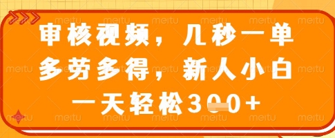 审核视频，几秒一单，多劳多得，新人小白一天轻松3张【揭秘】-资源V站