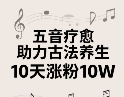 古法五音养生教程，五音疗愈的视频的制作方法，2-4小时就能学会，作者10天涨粉10W-资源V站