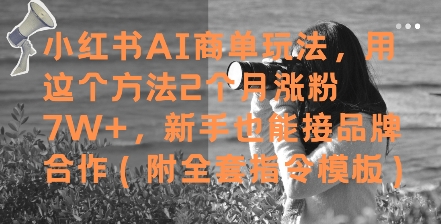小红书AI商单玩法，用这个方法2个月涨粉7W+，新手也能接品牌合作(附全套指令模板)-资源V站