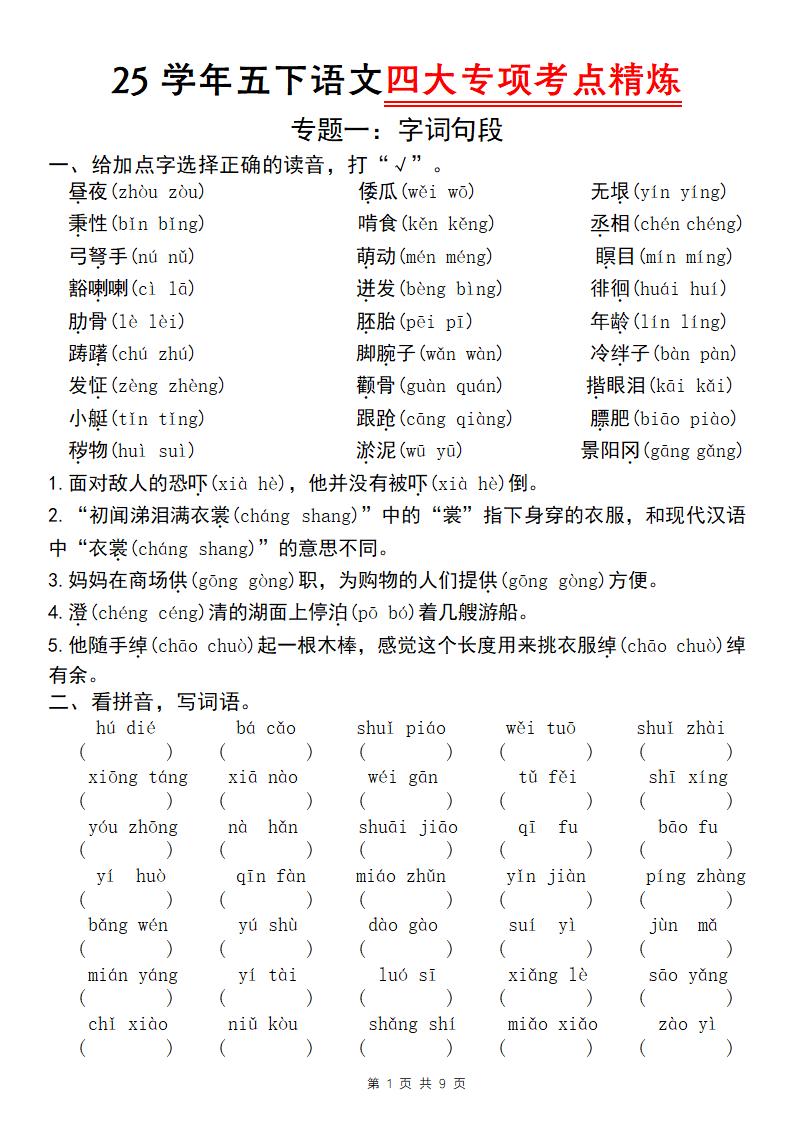 25学年五下语文四大专项考点精炼（专题一：字词句段）-资源V站