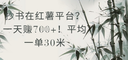 抄书在小红薯平台？平均一单30米，一天收益几张！-资源V站