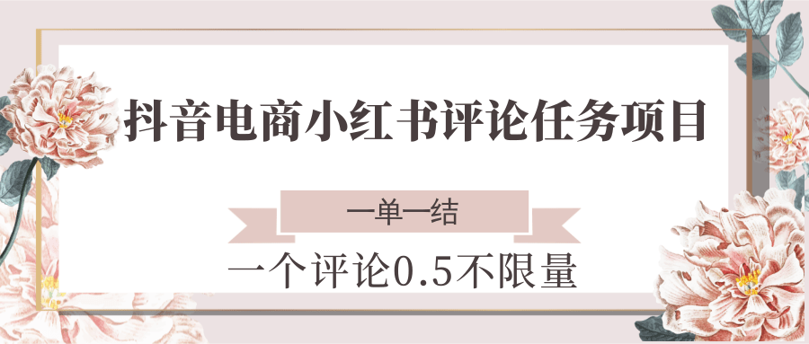 抖音电商小红书评论任务项目，一个评论0.5，一单一结 不限量-资源V站