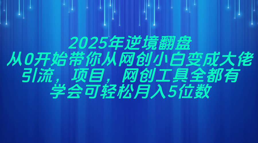 2025年逆境翻盘，从0开始带你从网创小白变成大佬，引流，项目，网创工…-资源V站