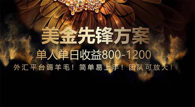 免费技术！小众赛道！一年布局抵三年努力，每日800+-资源V站