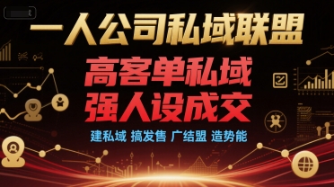 一人公司私域联盟，高客单私域，强人设成交，建私域 搞发售 广结盟 造势能-资源V站