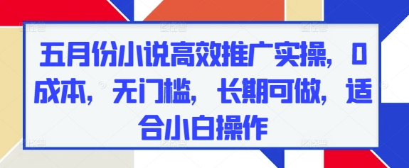 五月份小说高效推广实操，0成本，无门槛，长期可做，适合小白操作-资源V站