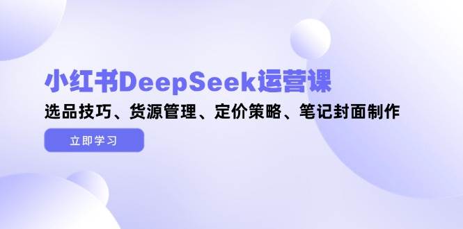 小红书DeepSeek运营课，选品技巧、货源管理、定价策略、笔记封面制作-资源V站