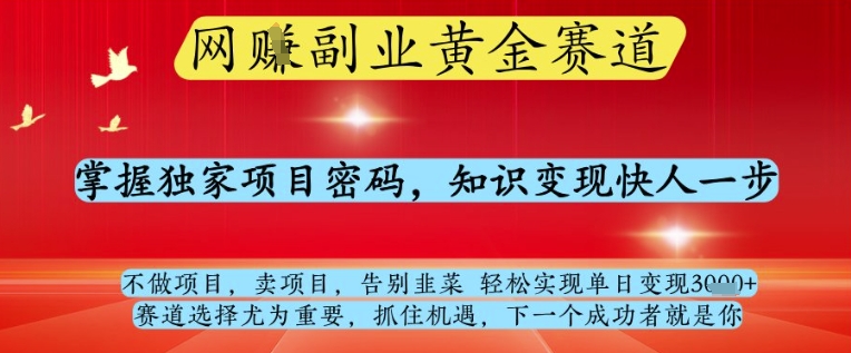 网创副业黄全赛道，掌握独家项目密码，知识变现快人一步，告别韭菜轻松实现单日变现1k+【揭秘】-资源V站