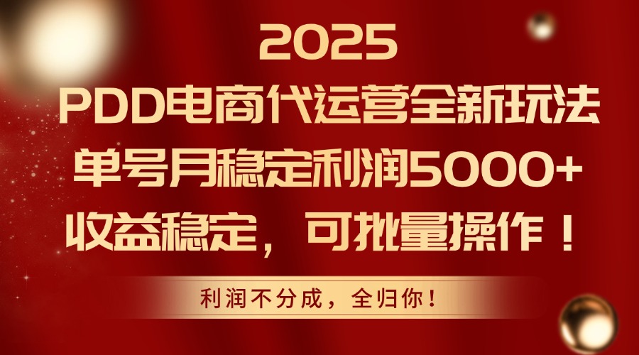 2025PDD电商代运营全新玩法，单号月稳定利润5000+，收益稳定，可批量操作-资源V站