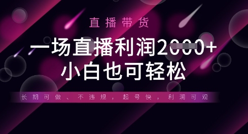 半无人直播带货，一场利润数张，适合所有平台玩法，小白也可轻松-资源V站
