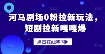 河马剧场0粉拉新玩法，短剧拉新嘎嘎爆-资源V站