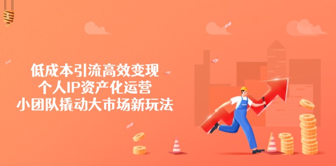 低成本引流高效变现，个人IP资产化运营，小团队撬动大市场新玩法-资源V站