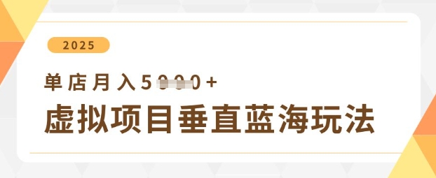 虚拟项目垂直玩法，实现单店月入5k+-资源V站