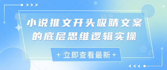 小说推文开头吸睛文案的底层思维逻辑实操-资源V站