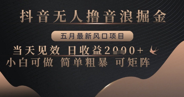 抖音无人撸音浪掘金，五月最新风口项目，当天见效，日收益多张，小白可做简单粗暴可矩阵【揭秘】-资源V站